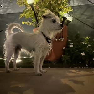 Fundraising Page: Shann Carr